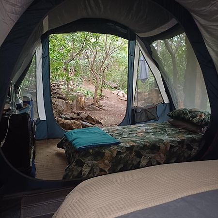 Adorable Unique Guest House - African Bush Feel Kalkheuvel Exteriér fotografie